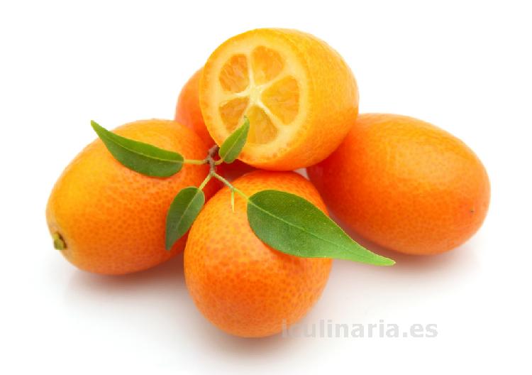 kumquat | Innova Culinaria