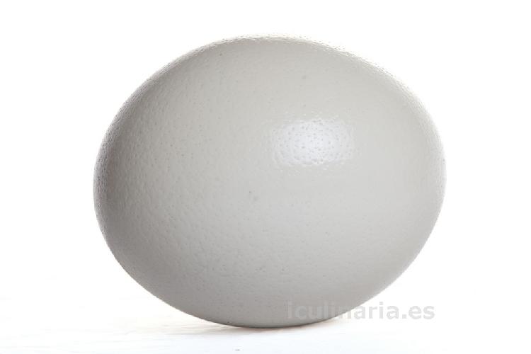 huevo de avestruz | Innova Culinaria