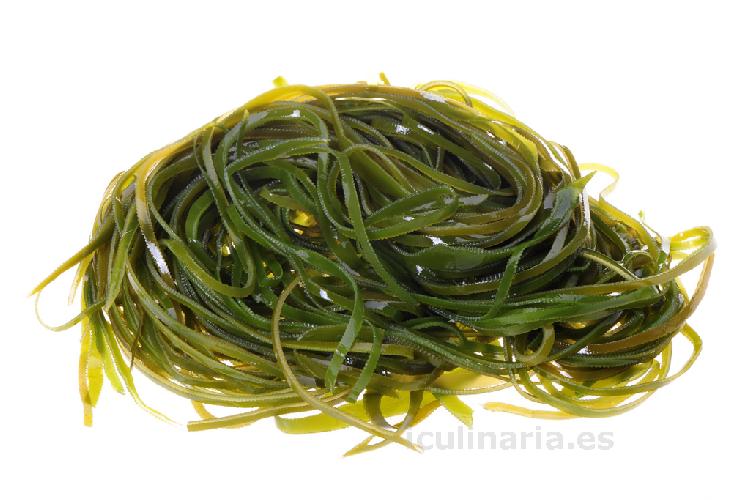 alga espagueti de mar | Innova Culinaria