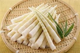 Brotes de bambú | Innova Culinaria