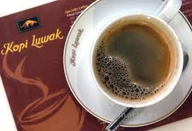 Cafe kopi luwak | Innova Culinaria