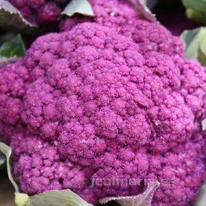 coliflor | Innova Culinaria