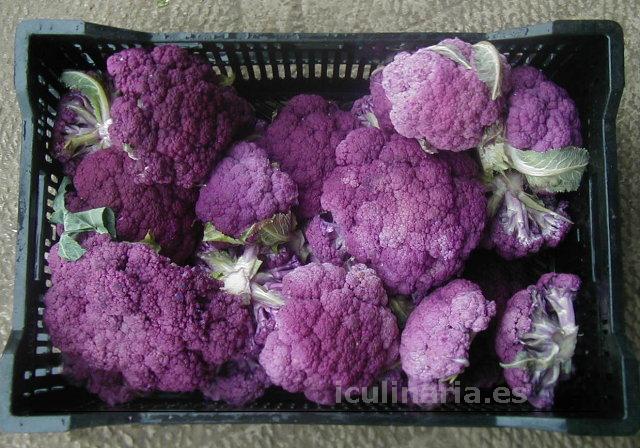 coliflor | Innova Culinaria