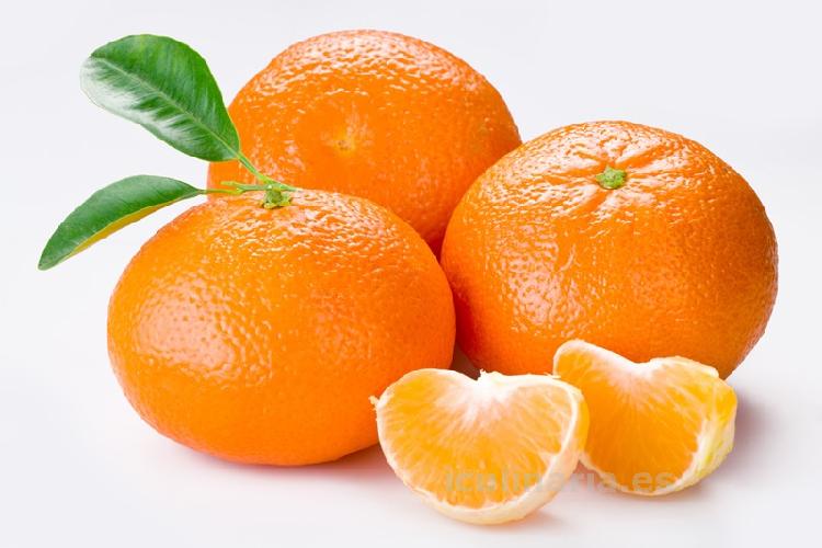 Mandarina | Innova Culinaria