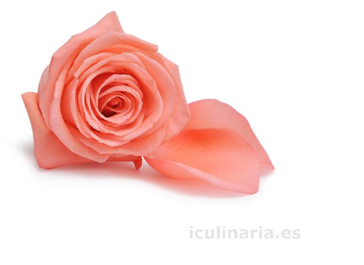 flor de rosa badior | Innova Culinaria