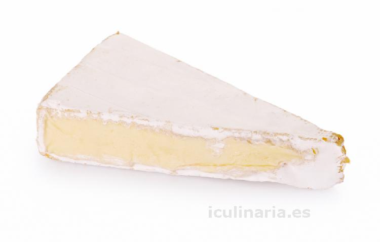 queso brie | Innova Culinaria