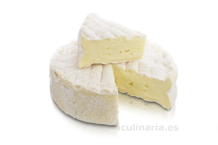 queso camembert | Innova Culinaria